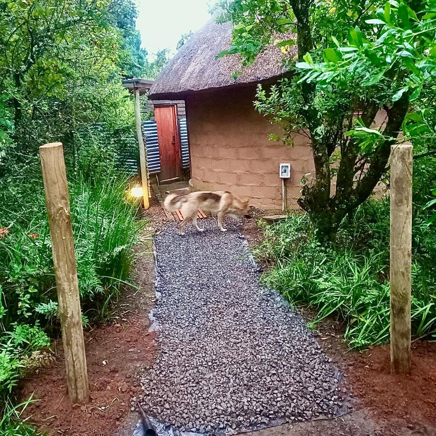 Drakensberg Inkosana Lodge Champagne Valley Zewnętrze zdjęcie