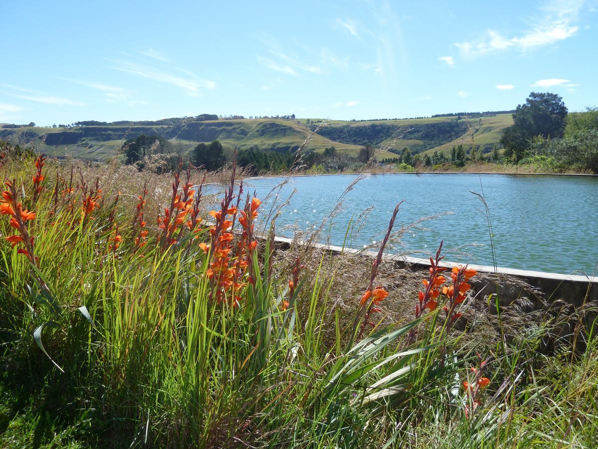 Drakensberg Inkosana Lodge Champagne Valley Zewnętrze zdjęcie