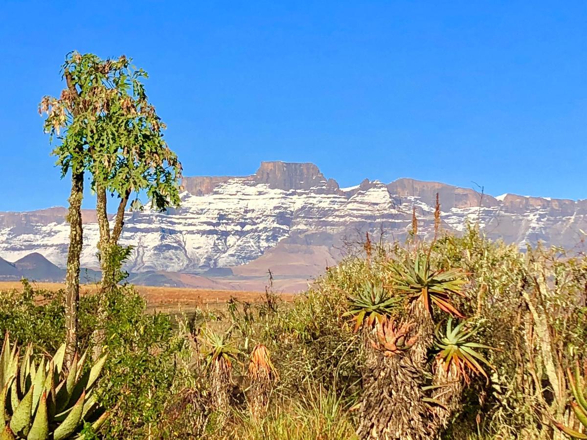 Drakensberg Inkosana Lodge Champagne Valley Zewnętrze zdjęcie